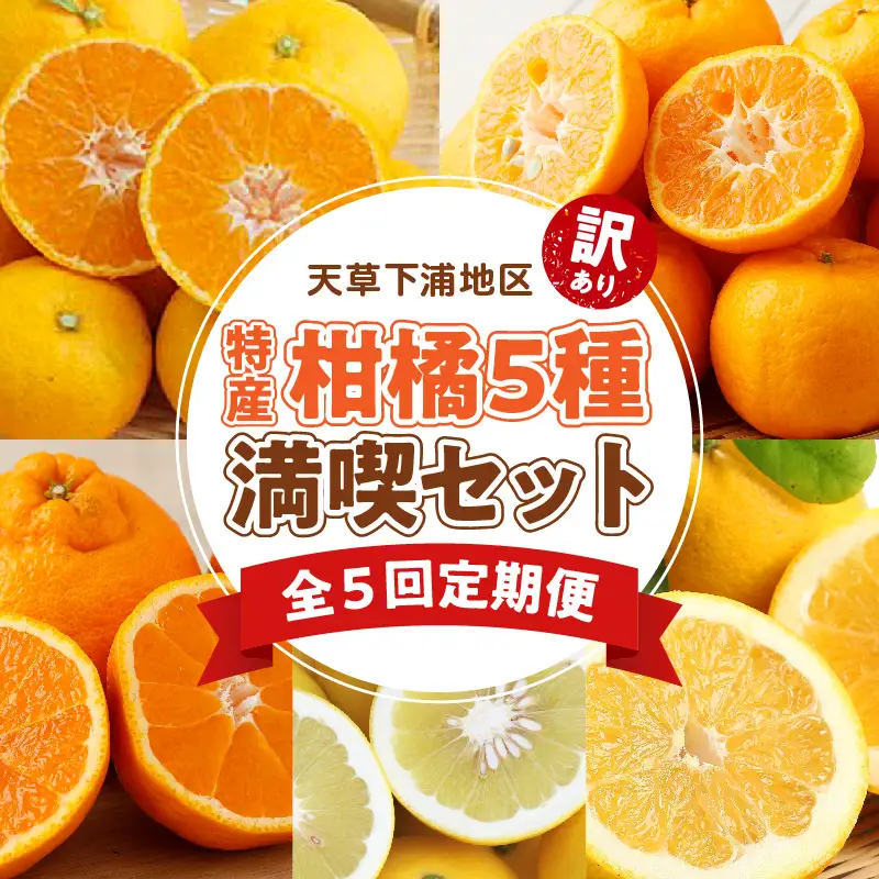 S040-T04A_【定期便5回】天草 下浦地区特産の柑橘5種満喫セット(訳あり）【先行受付】