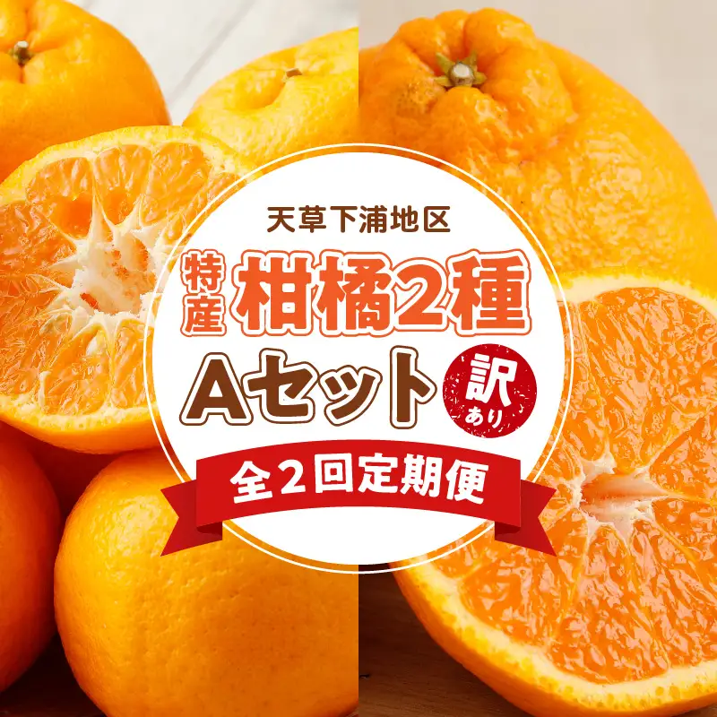 S040-T05A_【定期便2回】　天草　下浦特産の柑橘2種Ａセット（訳あり）【先行受付】