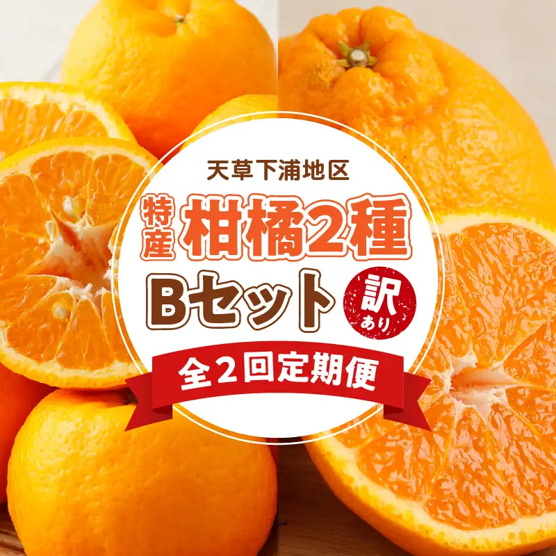 S040-T06A_【定期便2回】天草　下浦特産の柑橘2種Ｂセット（訳あり）