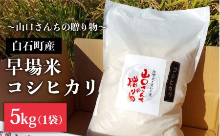 【先行予約】【令和8年産】特別栽培米！コシヒカリ5kg/ お米 [IAS001]
