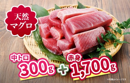 三崎 の 天然マグロ 三昧 ！ 中トロ ・赤身 がたっぷり入った王道コンビ 2kg セット！ M063-004 冷凍 マグロ