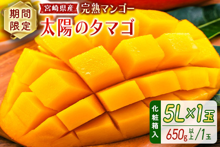 数量限定 宮崎県産 完熟マンゴー＜太陽のタマゴ＞5L×1玉（650g以上）※2026年4月下旬配送開始 化粧箱入 フルーツ くだもの【D114-26】