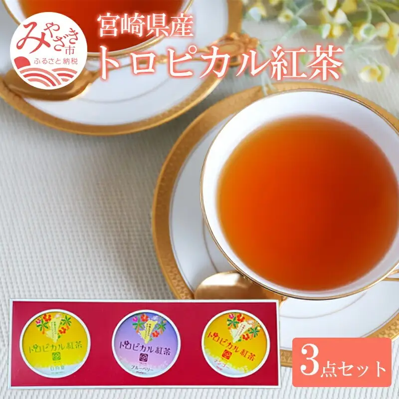 トロピカル紅茶 3点 セット 国産 宮崎県産 紅茶 紅茶セット 朝色紅茶 和紅茶 お茶 マンゴー ブルーベリー 日向夏 フルーツトロピカルフルーツ ノンカフェイン 飲み比べ 飲みくらべ セット ティータイム ギフト 