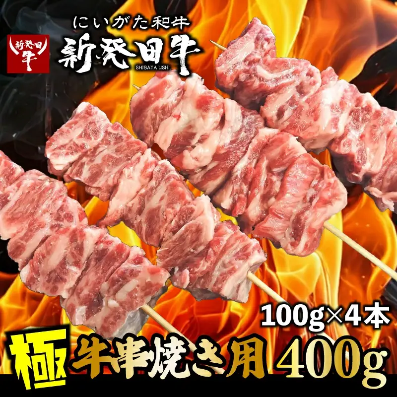 新発田牛 牛串  400g  黒毛和牛 ブランド牛 焼くだけ簡単 牛串 enomoto018