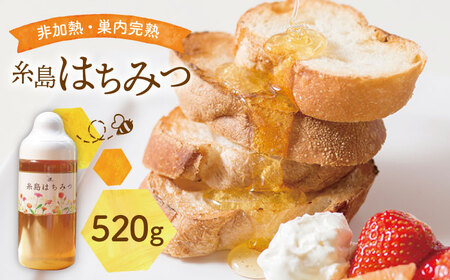 糸島 はちみつ 520g【ヴァンベールフーズ】百花 / 蜂蜜 [AFJ002]