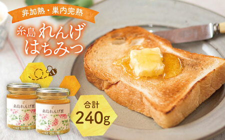糸島 れんげはちみつ 120g×2【ヴァンベールフーズ】レンゲ / 蜂蜜 / れんげ蜜 [AFJ003]