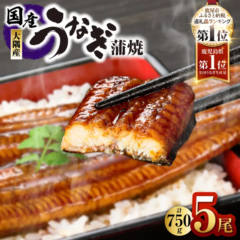 【 土用の丑の日特集 】1633 鹿児島県大隅産 うなぎ蒲焼 5尾（750g） KN007-005-01 うなぎ 鰻 魚 惣菜 総菜