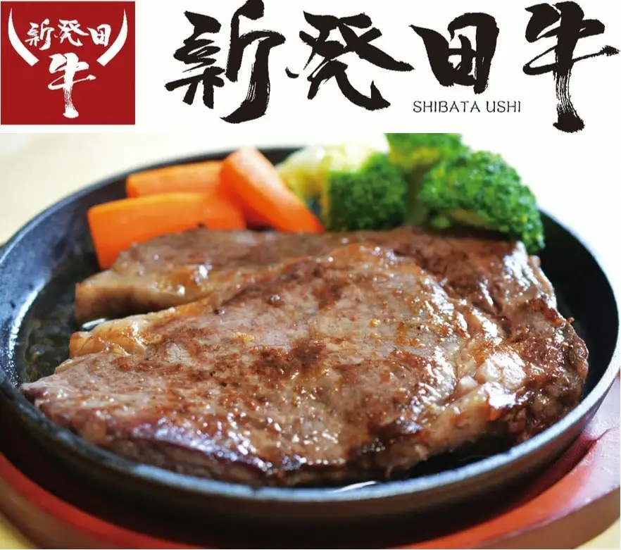 先崎畜産 新発田牛ロース ステーキ用 250ｇ×4 ロースステーキ ロースステーキ ロースステーキ ロースステーキ H09 