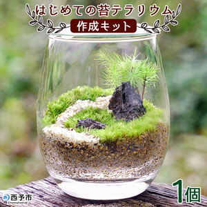 はじめての苔テラリウムにピッタリの作成キット★作り方動画付 NKK0008