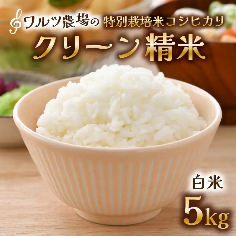 【先行予約】【令和8年産 新米】ワルツ農場のコシヒカリ クリーン精米 5kg 特別栽培米【納得の美味しさ】減農薬 有機肥料使用 / お米 ご飯 白米 発送直前 精米 つや 艶 甘味 旨み 北陸 あわら市産 福井県産 ブランド米 ※2026年10月下旬以降発送予定 [aw046-a009]