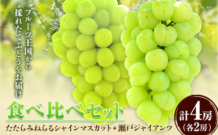 たたらみねらる食べ比べセット 約2kg　マスカット 瀬戸ジャイアンツ