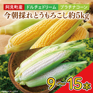 【先行予約】阿見町産 今朝採れとうもろこし約5kg（バイカラー ホワイト詰合せ・9本～15本）【茨城県 阿見町  国産 甘い 朝採り 野菜 ドルチェドリーム プラチナコーン 食べ比べ 送料無料】（04-24）