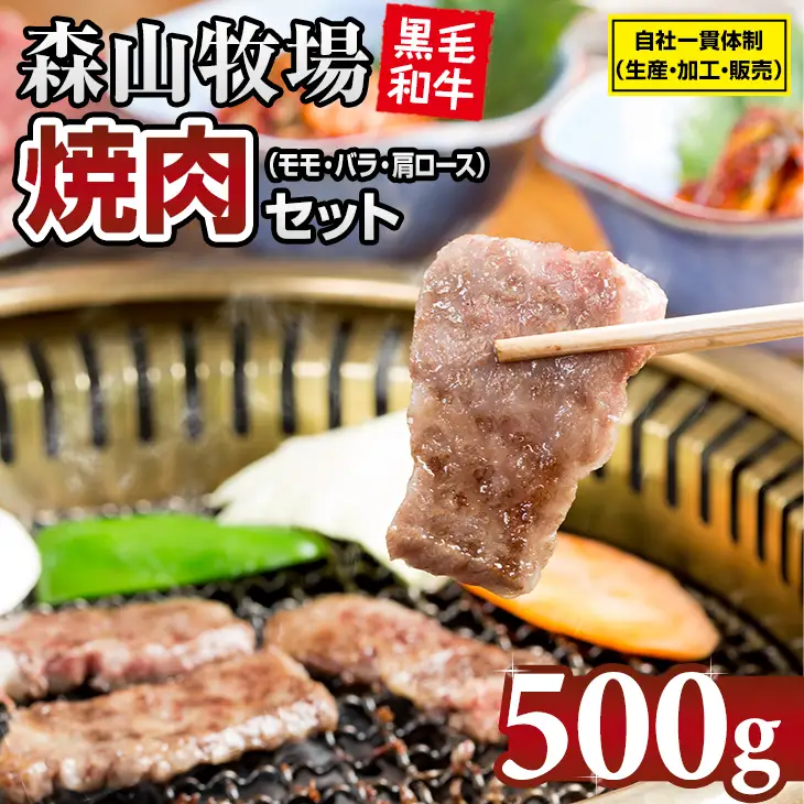 森山牧場 焼肉セット 500g 焼肉 牛肉 B130-064