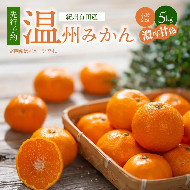G7344_【2026年11月下旬より発送】紀州 有田産 濃厚甘熟 温州みかん 5kg (小粒サイズ)