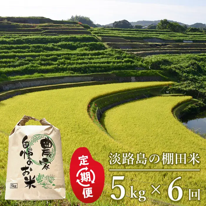 【定期便】淡路島の棚田米　5kg×6回（毎月発送）白米
