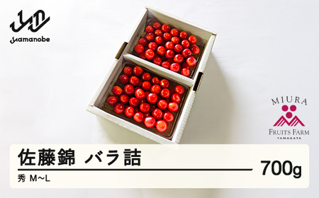 《先行予約》2026年 山形県産 令和8年産 さくらんぼ 佐藤錦 バラ詰 700g 秀 M～L ※沖縄・離島への配送不可  F20A-918