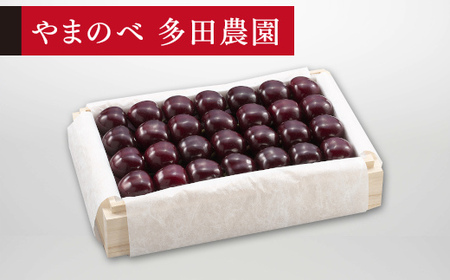 《先行予約》2026年 山形県産 特選サミット 桐箱詰め 約700g やまのべ多田耕太郎のさくらんぼ サクランボ F20A-789