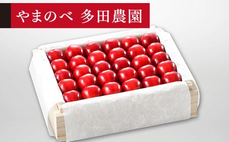 《先行予約》2026年 山形県産 特選「真夏のルビー紅姫」 桐箱詰め 約500g やまのべ多田耕太郎のさくらんぼ サクランボ F20A-791