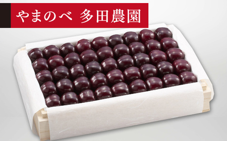 《先行予約》2026年 山形県産 特選サミット 桐箱詰め約1100g やまのべ多田耕太郎のさくらんぼ サクランボ F20A-793
