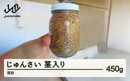 《先行予約》2026年 山形県 作谷沢産 じゅんさい(茎入り) 450g 瓶詰 ジュンサイ F20A-926