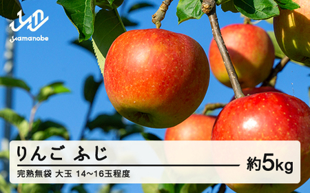 2026年産 渡辺果樹園 完熟無袋 りんご ふじ 約5kg（14~16玉程度） 大玉 2026年12月上旬より順次発送 秋果実 果物 フルーツ サンふじ F20A-141 ※沖縄・離島への配送不可