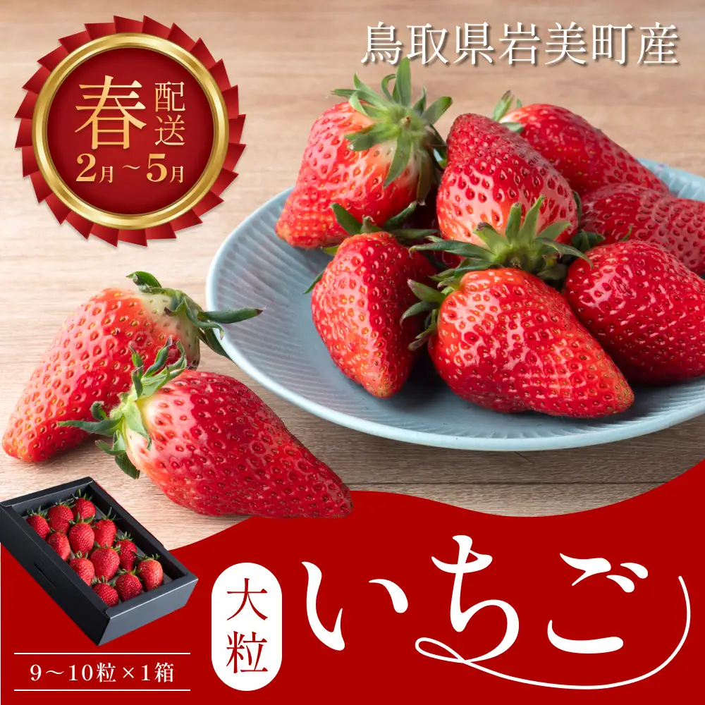 【42002】【先行予約】米村農園「大粒いちごB」 9～15粒程度×1セット 発送は2027年2月以降