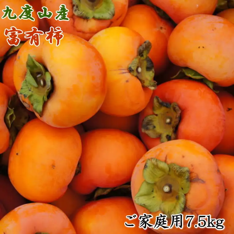 ≪柿の名産地≫九度山の富有柿約7.5kgご家庭用【tec413A】