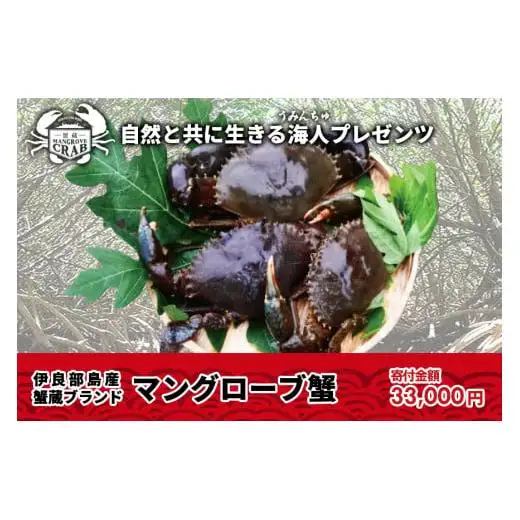メディア出演多数！蟹蔵のマングローブ蟹