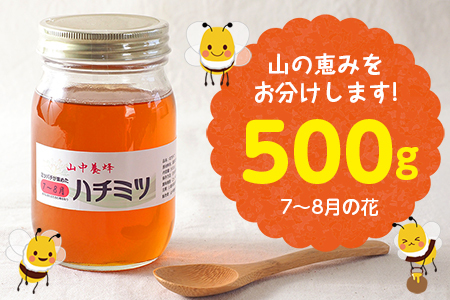 【自然のまま】富津産ハチミツ500g（7～8月の花）