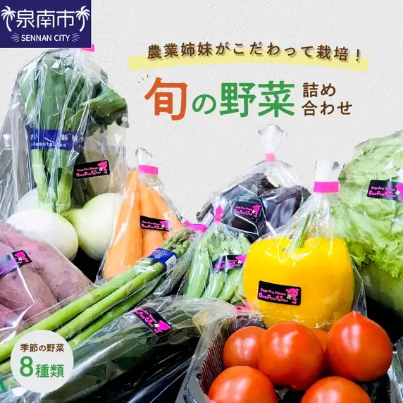 農業姉妹がこだわって栽培！旬の野菜詰め合わせ8種類【024D-008】