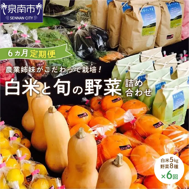 農業姉妹がこだわって栽培！白米5kgと旬の野菜詰め合わせ8種 半年定期便【024A-028】