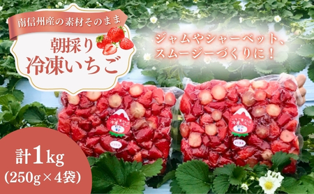 南信州産「冷凍いちご」 1kg（250g×4袋）　ヨッシャア駒ヶ根 果物類 苺 イチゴ 