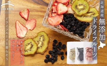 《無農薬》無添加ドライフルーツ キウイフルーツ、イチゴ、ブルーベリー