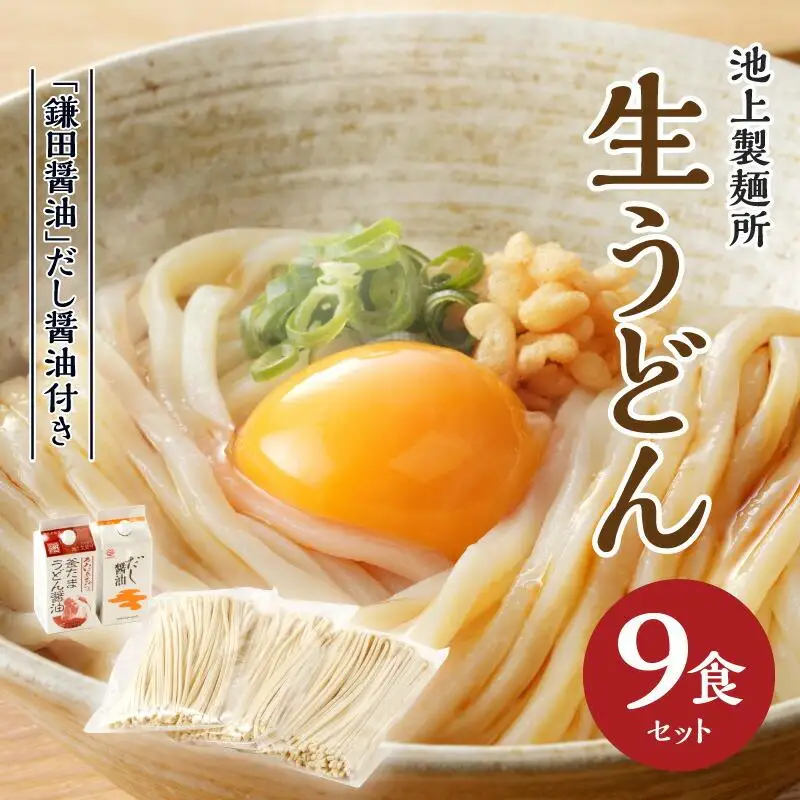 本家　池上製麺所　生うどん9食（鎌田醤油　だし醤油）