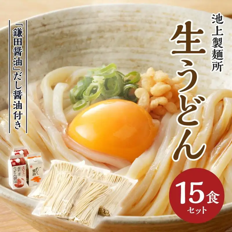本家　池上製麺所　生うどん15食（鎌田醤油　だし醤油）