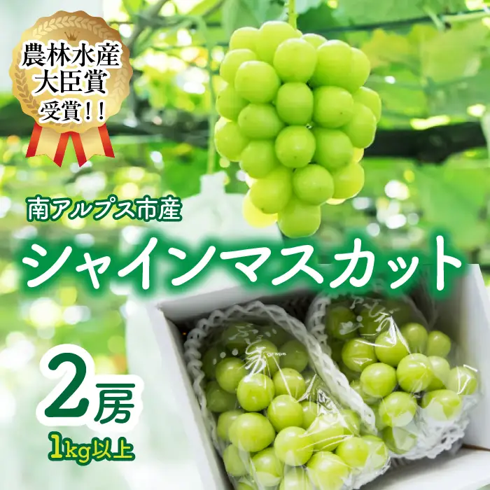 【2026年先行受付】 【農林水産大臣賞受賞!!】 シャインマスカット 2房 1kg以上 ALPAS004 | シャインマスカット