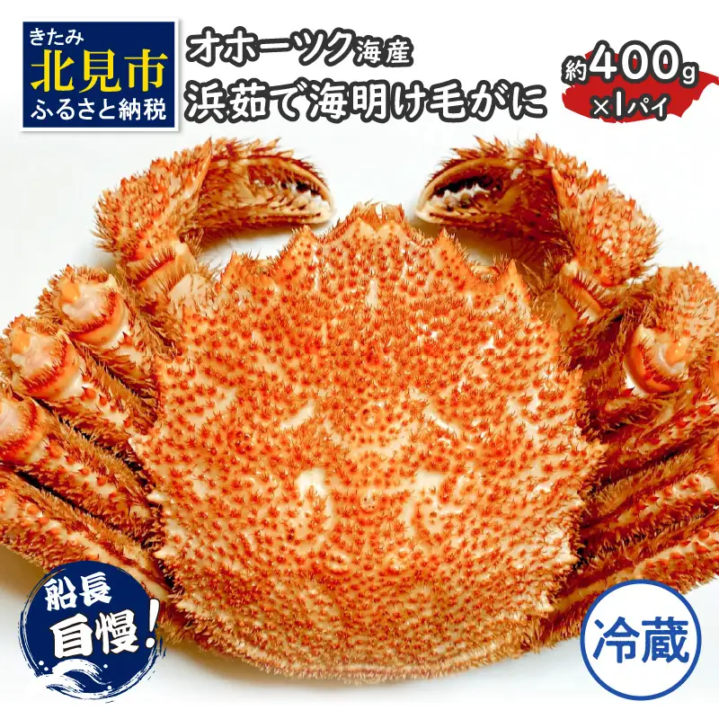 【予約：2026年3月下旬から順次発送】【旬の浜ゆで毛ガニを冷蔵便で】オホーツク海産 浜茹で海明け毛がに 約400g×1パイ 冷蔵 ( かに 蟹 魚介類 海鮮 )【114-0017-2026】