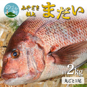 【冷蔵】たいセミドレス N018-YA5524