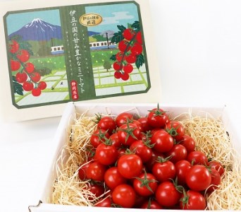 umamiトマト（化粧箱入り）