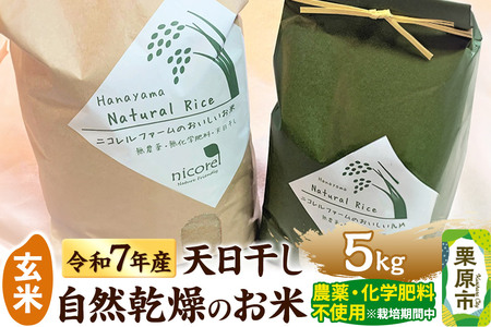 【玄米】令和7年産 (栽培期間中)農薬化学肥料不使用・天日干し自然乾燥のお米 5kg
