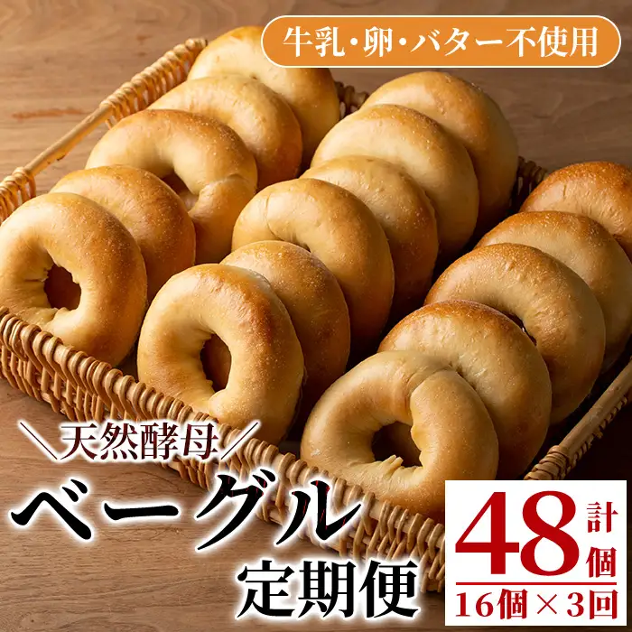 isa333 【定期便・全3回(3ヶ月連続)】プレーンベーグル(総計48個・16個×3回) 天然酵母 パン 国産 白神こだま酵母 ヒマラヤ岩塩 焼きたて 急速冷凍 ベーグル 牛乳・卵・バター不使用 ベーグルサンド 就労支援【工房あけぼの】