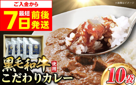 和牛カレー 10袋[AOAI004] カレー