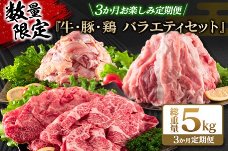 数量限定 3か月 お楽しみ 定期便 牛肉 豚肉 鶏肉 バラエティ セット 総重量5kg_FG13-26