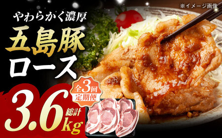 【3回定期便】五島豚 極厚ロース1.2kg （200g×6枚） 五島市/肉のマルヒサ[PCV018] 