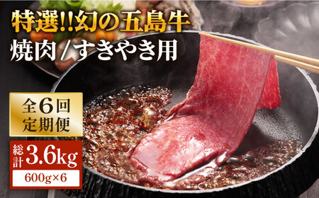 【6回定期便】五島牛 肩ロース600g（焼肉用/すき焼用） 五島市/ニク勝[PBF017]  やきにく 焼肉 すきやき 牛肉 牛 にく 肩ロース 国産 冷凍