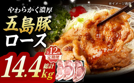 【12回定期便】五島豚 極厚ロース1.2kg （200g×6枚）五島市/肉のマルヒサ[PCV036] 