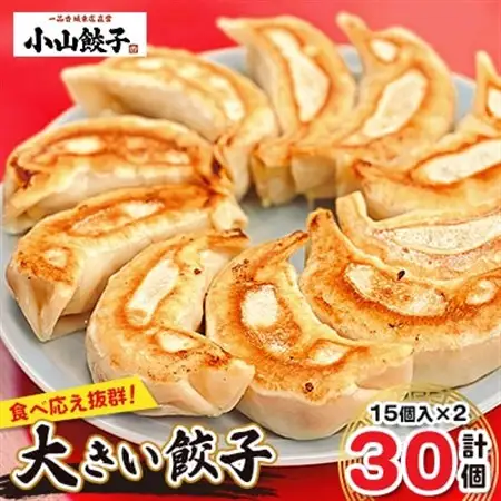 冷凍餃子専門店  小山餃子 大きい餃子 30個【配送不可地域：離島】【1259608】