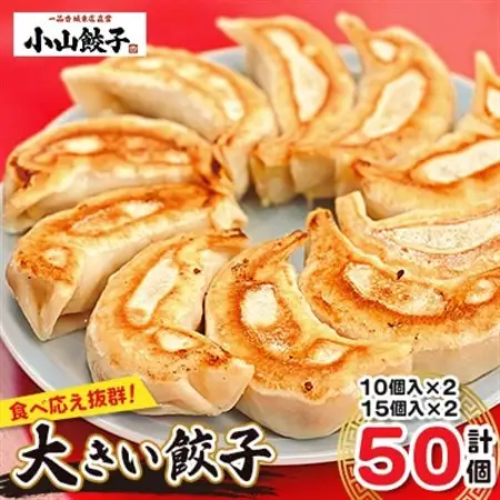 冷凍餃子専門店  小山餃子 大きい餃子 50個【配送不可地域：離島】【1259740】