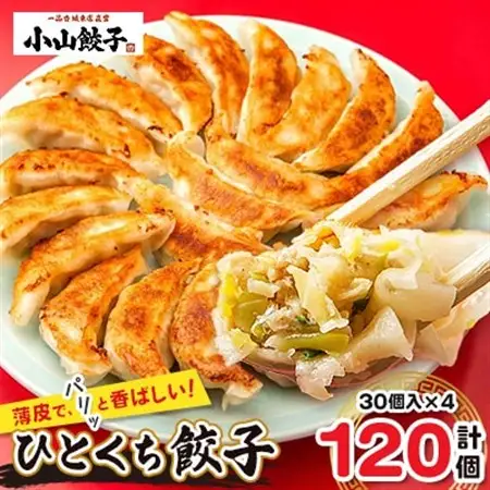 冷凍餃子専門店 小山餃子 ひとくち餃子 120個【配送不可地域：離島】【1259753】