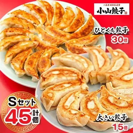 冷凍餃子専門店 小山餃子[Sセット全45個] ひとくち餃子30個/大きい餃子15個【配送不可地域：離島】【1277803】